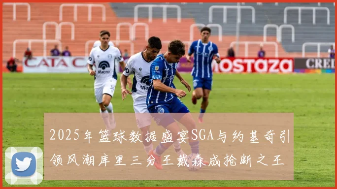 2025年篮球数据盛宴SGA与约基奇引领风潮库里三分王戴森成抢断之王