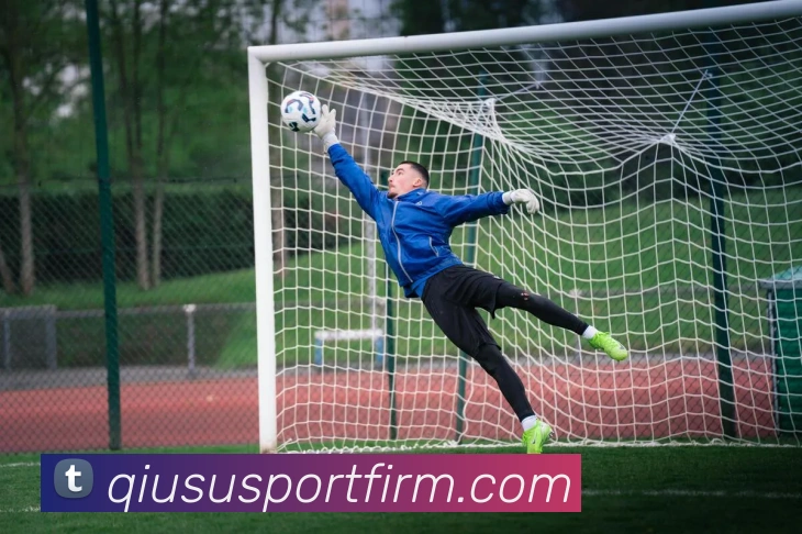 球速体育平台生态图